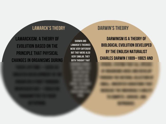 Lamarck vs darwin venn diagram