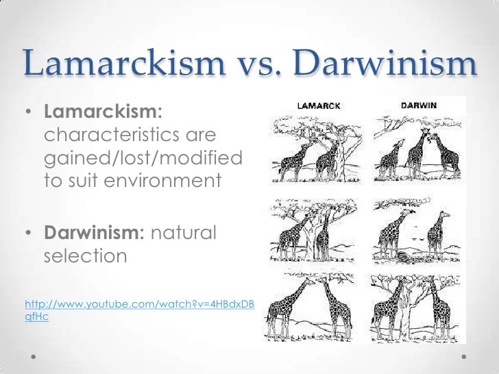 Venn lamarck darwin