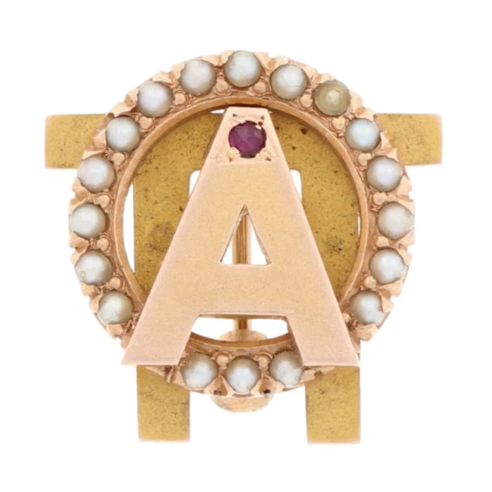 Alpha epsilon pi pledge pin