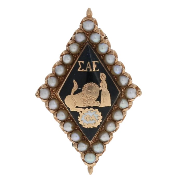 1950s epsilon pledge zoomen