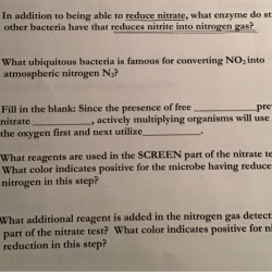 Nitrate test reduction microbiology