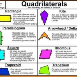 Area of triangles and quadrilaterals answer key