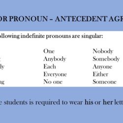 Pronoun agreement antecedent doc quiz sentence exercise