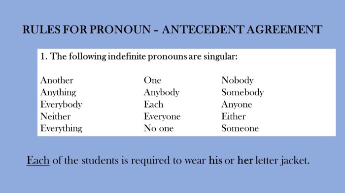 Pronoun agreement antecedent doc quiz sentence exercise