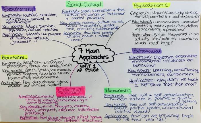 Ap psychology unit 6 developmental psychology practice test